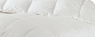 Down Comforter Inserts